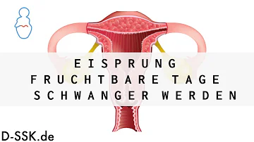 Was passiert beim Eisprung ohne Gebärmutter?