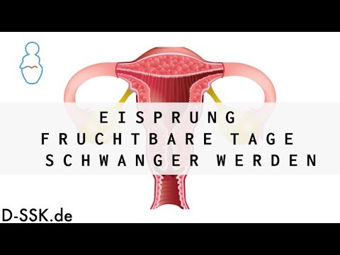 Video: Wie Lange Dauert Der Eisprung Jeden Monat?