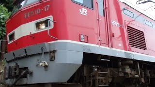列車番号4091 EF510-17 羽越本線(村上~間島)60P