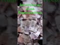 Ворованные народные деньги,сам не покушал и другим не дал.
