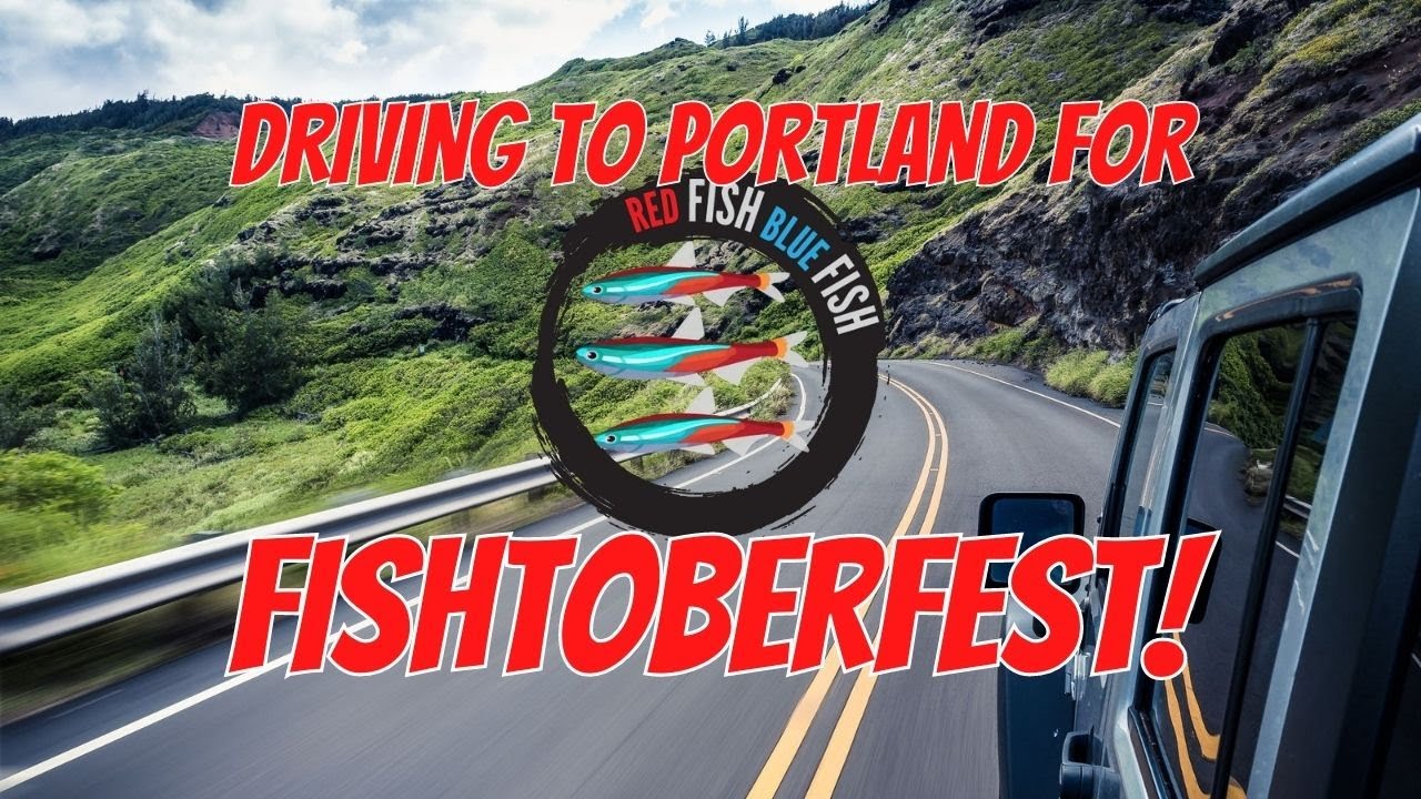 Fishtoberfest Road Trip! Heading to PORTLAND for a weekend of FISHY FUN