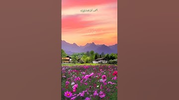 تلاوة مباركة من سورة الحديد. الشيخ رعد محمد الكردي