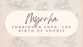 Myrrha's Forbidden Love: The Birth of Adonis | Greek Mythology