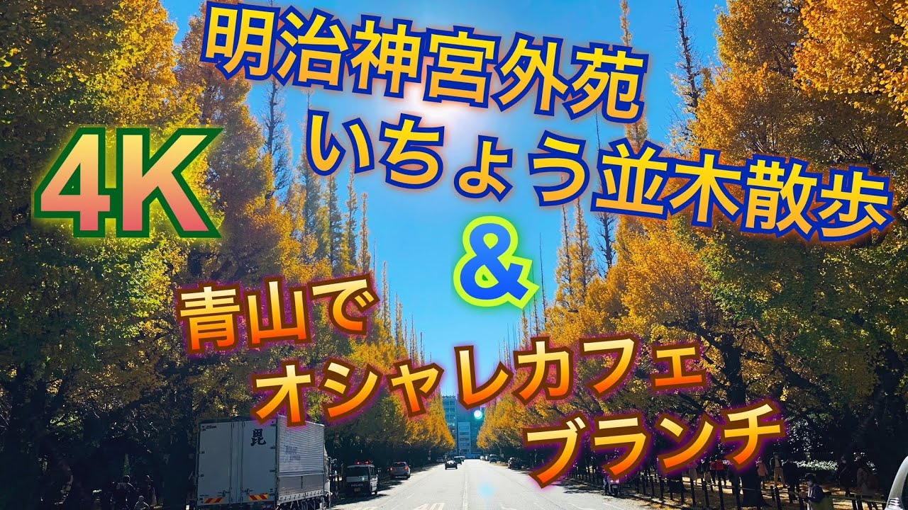 【４K】明治神宮外苑いちょう並木と青山おしゃれカフェ散歩♪【東京都港区】