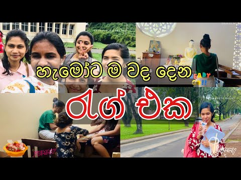පේරාදෙණියෙත් රැග් තියනවද..? | කැම්පස් වල ඇත්ත කතාව | #viralvideo #univlog | #unilife | #trending