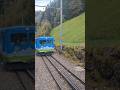 #Rigi-Bahnen BDeh 2/4 11 #Arth-Rigi-Bahn #rigibahnen #migros #train #alpen #trainspotting #schweiz
