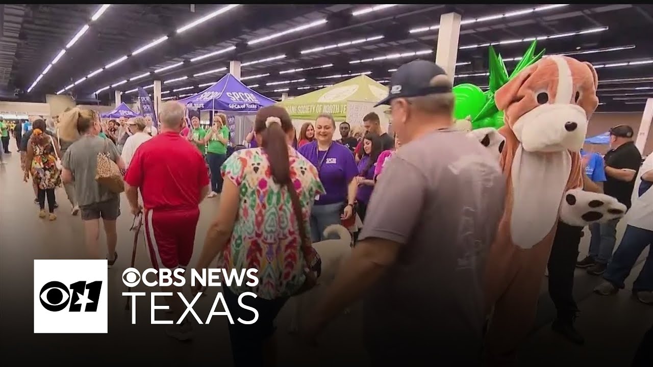 Mega adoption event in Fort Worth helps ease shelter overcrowding across North Texas