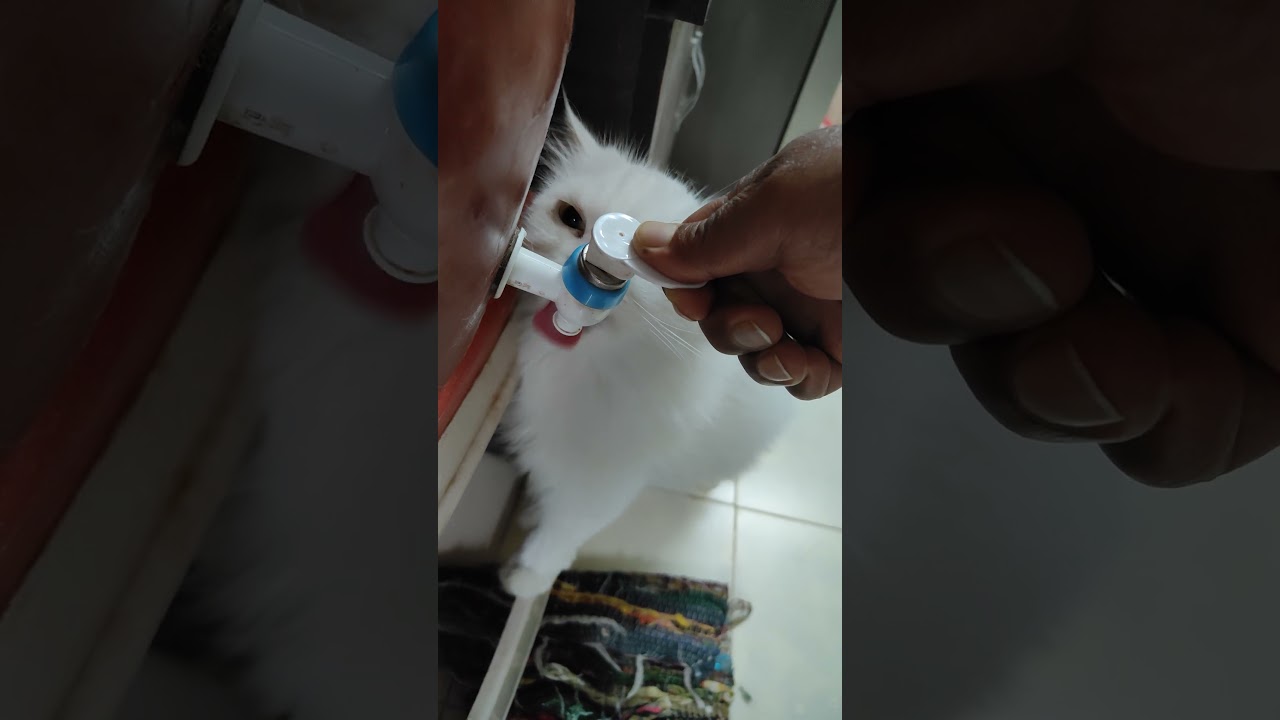 moon2 want drink water from matka tap