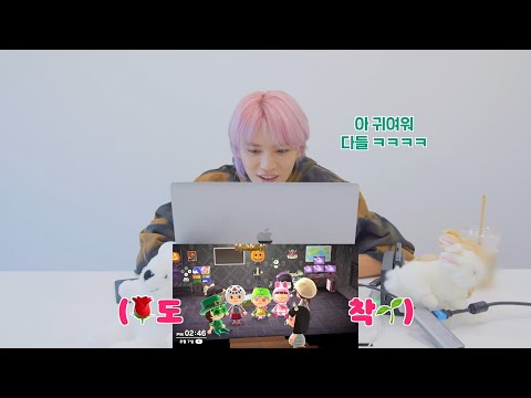 모여봐요 툥물의 숲🍃💚 | Let's Play Animal Crossing with TYONG🎮