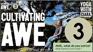 DAY 3:  CULTIVATING AWE : 21-Day Yoga Journey with Ciara