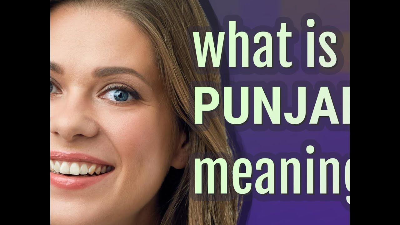 meaning of presentation in punjabi