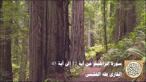 طه الفشني - سورة إبراهيم من آية ١٢ إلى آية ٤٥ - وَمَا لَنَا أَلَّا نَتَوَكَّلَ عَلَى اللَّهِ ...
