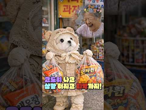 타짜:도동리 고도리 여사  #ai #강아지 #말티즈