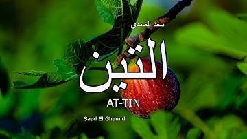 95 - سورة التين - سعد الغامدي - Sourate AT-TIN - Saad El Ghamidi