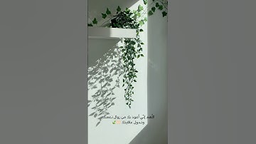 القران الكريم 🤍🌱
