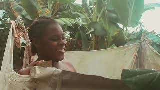 Le bailleur 7 : l'argent du loyer Le bailleur 7 : l'argent du loyer