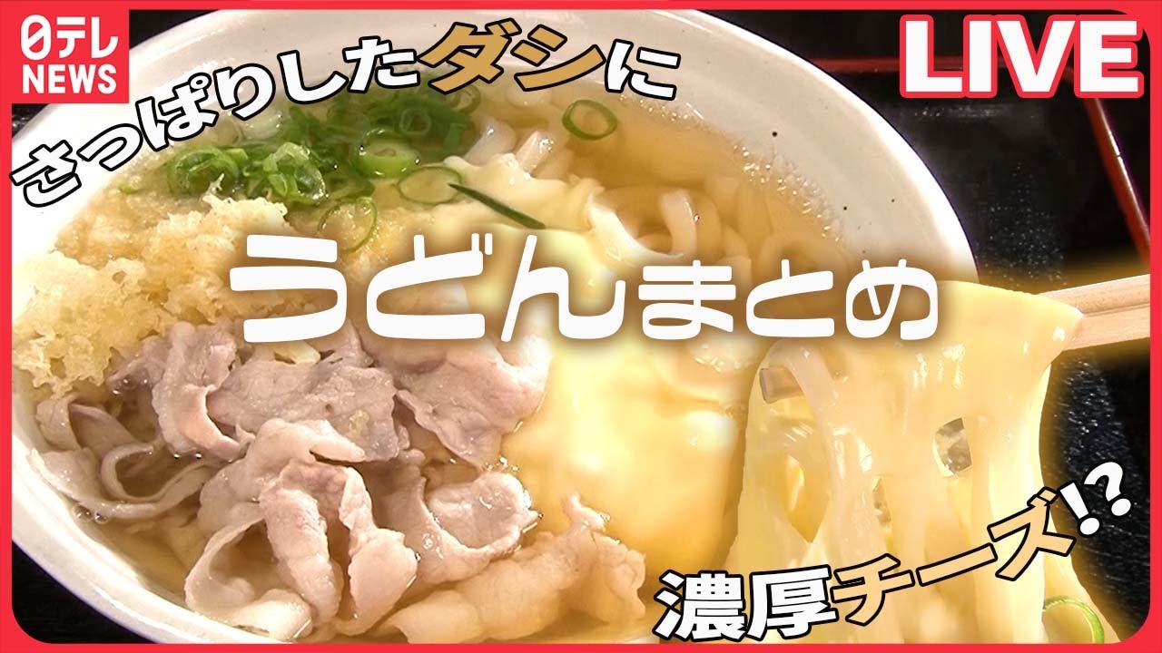 うどんまとめ】濃厚チーズが絡みつく絶品讃岐うどん/打ち立てもちもち