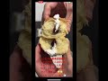 コンビニの新商品魅惑のホイップロール中にホイップクリームとあんこ🫘がたくさんはいってるのでホイップクリームやあんこ🫘好きなひとはコンビニ急げ💨