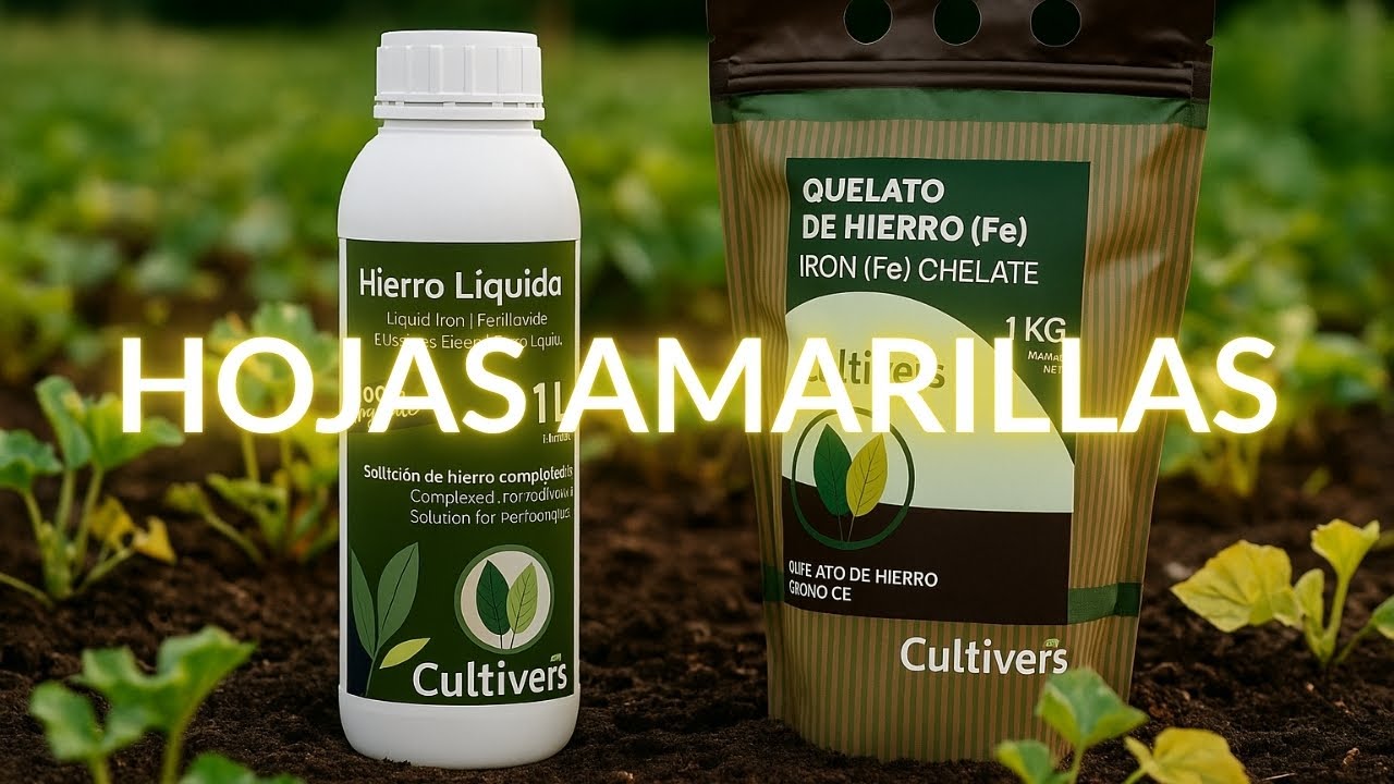 Hierro en las Plantas: Cómo Usarlo y Cuándo Aplicarlo Bien