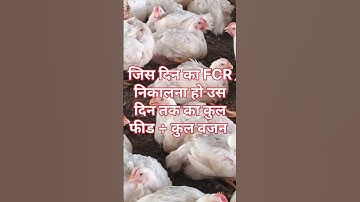 Learn to extract FCR in an easy way#S poultry farm#fcr in poultry#fcr in poultry farm#crd in poul...