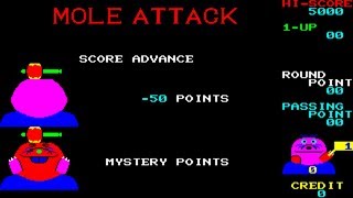 Mole Attack (Arcade) Net Worth