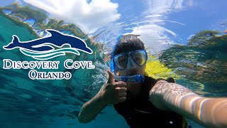 A Day At Discovery Cove (Orlando Expedition Pt.1)