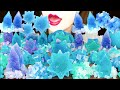 【ASMR】GEODE KOHAKUTO PARTY💙 MUKBANG 먹방 食べる音 EATING SOUNDS NO TALKING