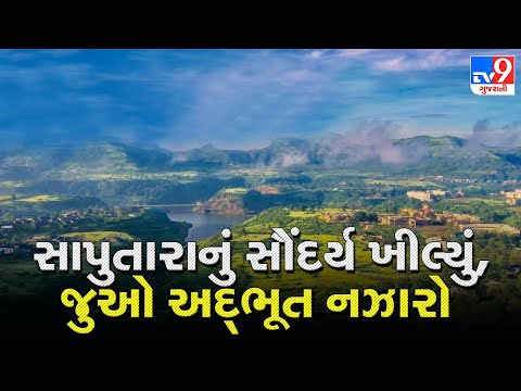 ડાંગ જિલ્લામા આજે સવારથી જ મેઘ મહેર |Tv9gujaratinews