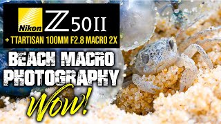 Nikon Z50II Beach Macro Photography | WOW!