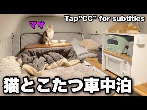 【ねこ旅】雪道ドライブを支える電源戦略と冬の車中泊環境の最適化