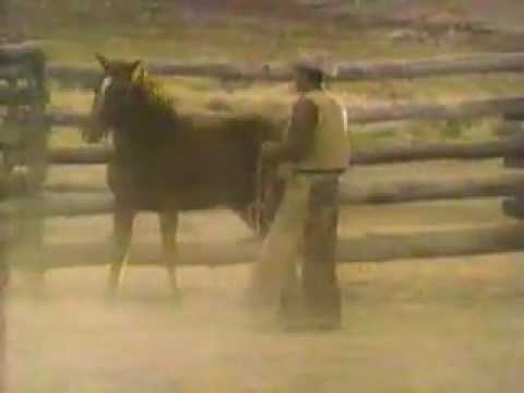 اعلان مالبورو 1987