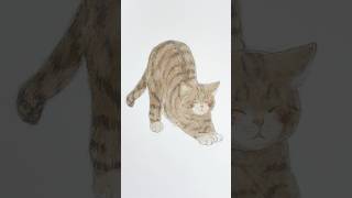 ラス1❗「新作愛猫、愛犬ちゃん、他動物も描きます！過去作品も全サイズ対応」 YouTube