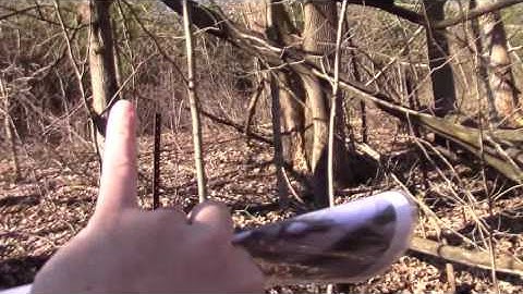 Dads tree formerly Bens tree