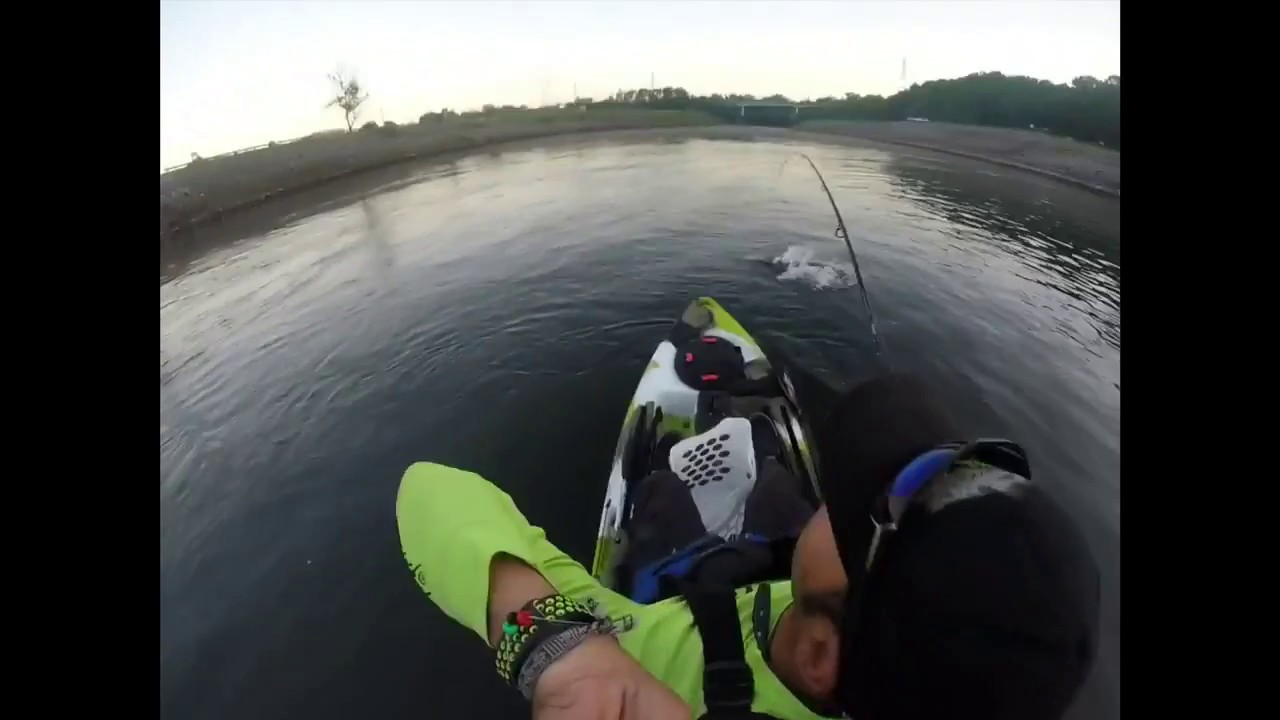 Kayak Fishing for Hybrid Stripers YouTube