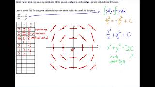 AP Calculus Notes Slope Fields