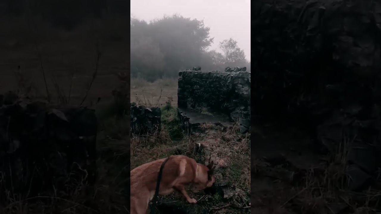 Irish Mythology: A Relaxation Walk