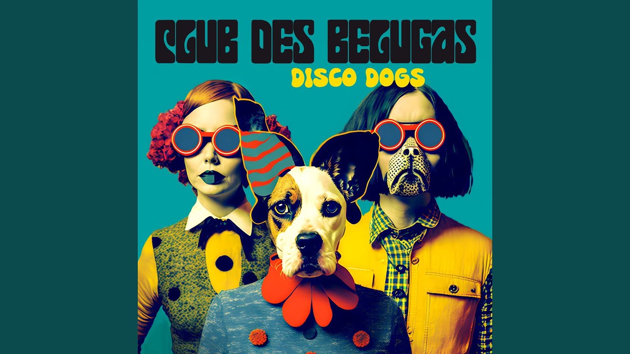 Watch Disco Dogs on YouTube Watch Disco Dogs on YouTube