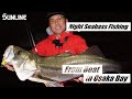 Night Seabass Fishing from boat in Osaka Bay!!【KUNIHIKO HAMAMOTO and SAYURI SORANA】