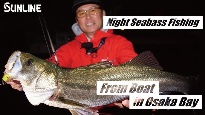 SEABASS FISHING - Lure fishing at an isolated offshore dyke In