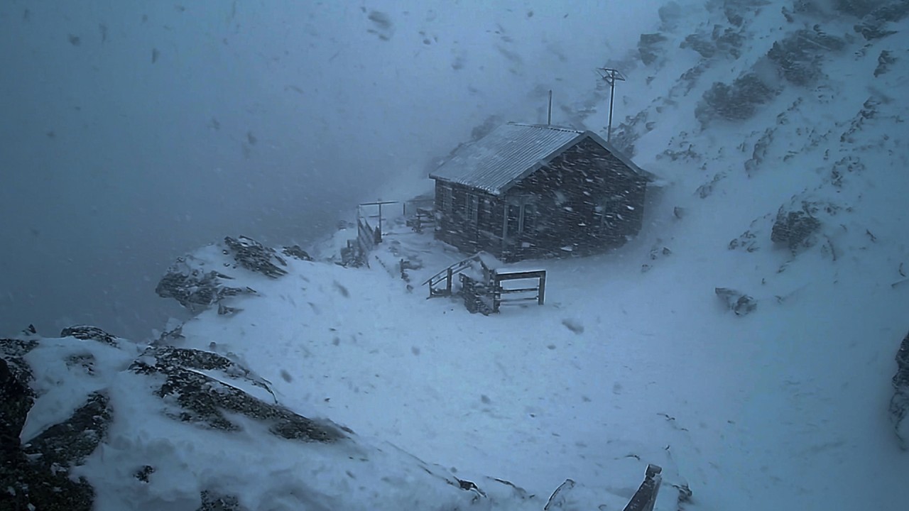 UNYIELDING POLAR BLIZZARD | Intense Snowstorm Sounds, Roaring Winds & Frozen Ambience for Deep Sleep