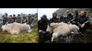 Mountain Goat Hunting Alaska