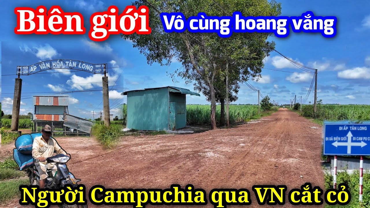 Bắt gặp người Campuchia qua VN cắt cỏ về cho bò ăn - Cuộc sống vắng vẻ nơi biên giới.