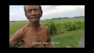 Anisa Siti Chanel : Jelajah hutan Jawa