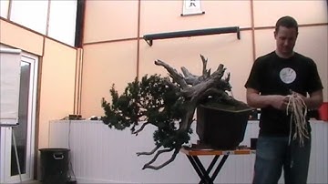 Ryan Neil Willowbog Demo Part 2