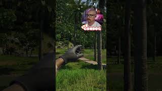 3 for 1 special. #gaming #grayzonewarfare #smallstreamer #streamclips