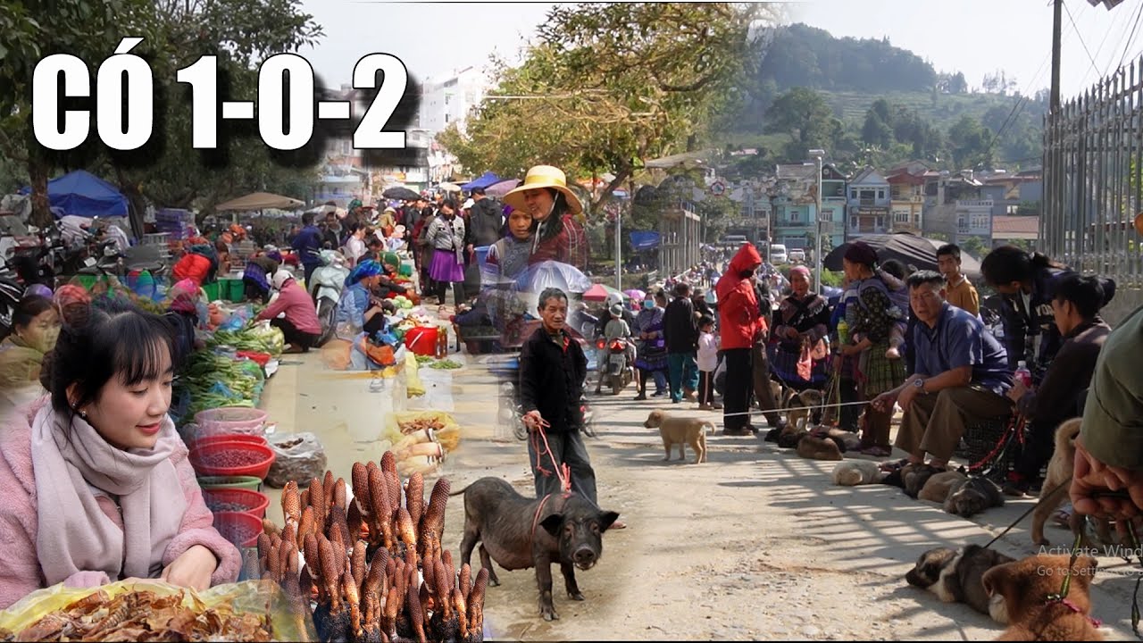 FULL VIDEO CHỢ VÙNG CAO - ẨM THỰC KHÓ CƯỠNG - CỦA QUÝ HIẾM - VẬT LẠ KHIẾN BAO NGƯỜI SAY MÊ 