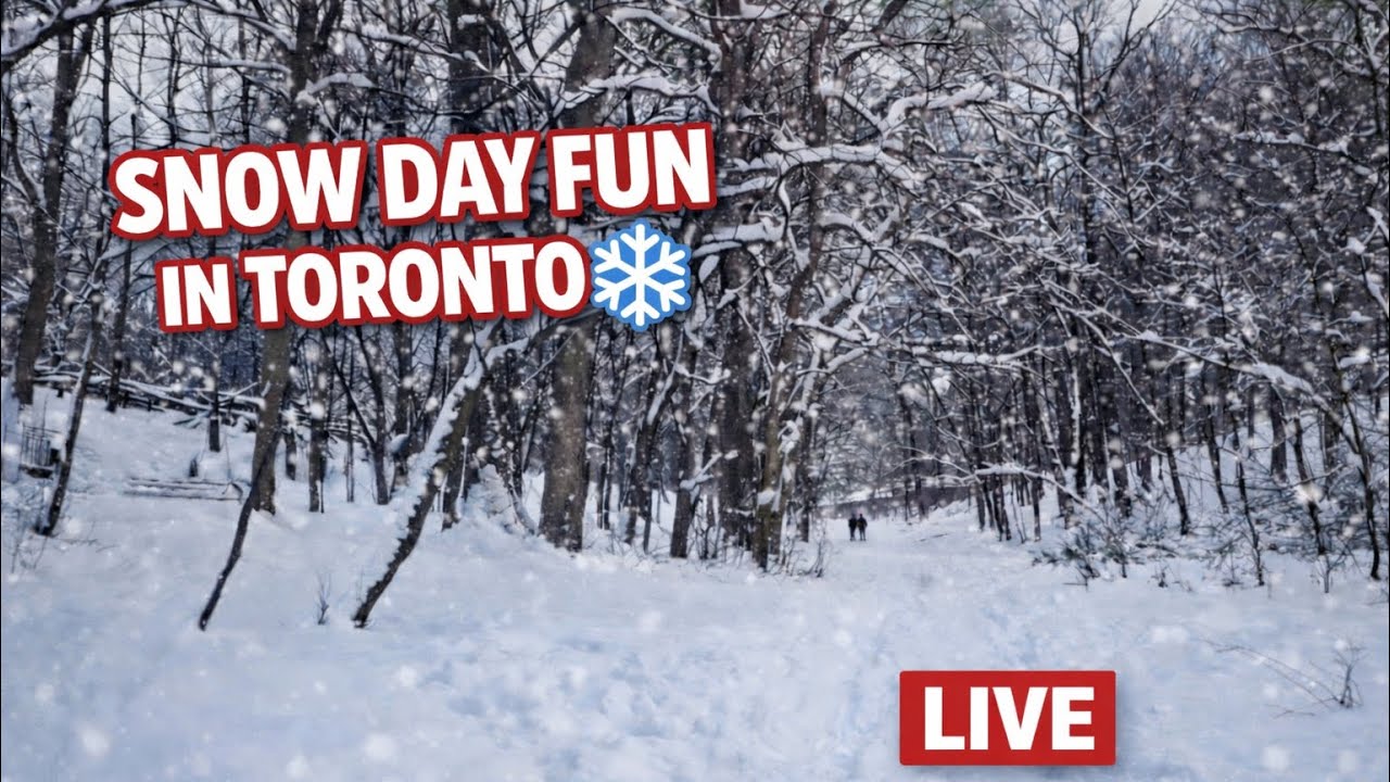 🔴 Live: Snow Day in Toronto Feeling like -22 