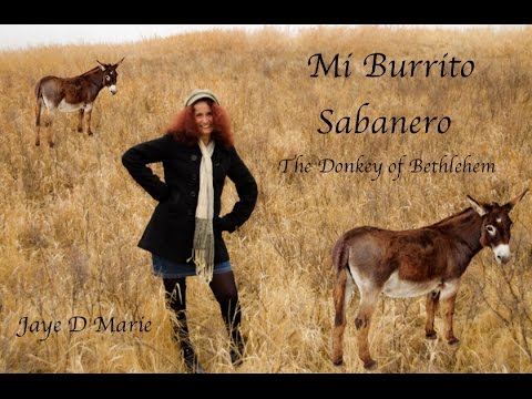 Mi Burrito Sabanero - Jaye D Marie