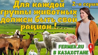 Почему Для Бизнеса Важны Качественные И Полноценные Корма? Viamin. Контроль Качества На Заводе.