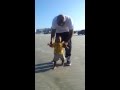 Baby d first steps on the beach
